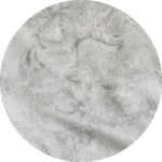 Phong cảnh xám - CD